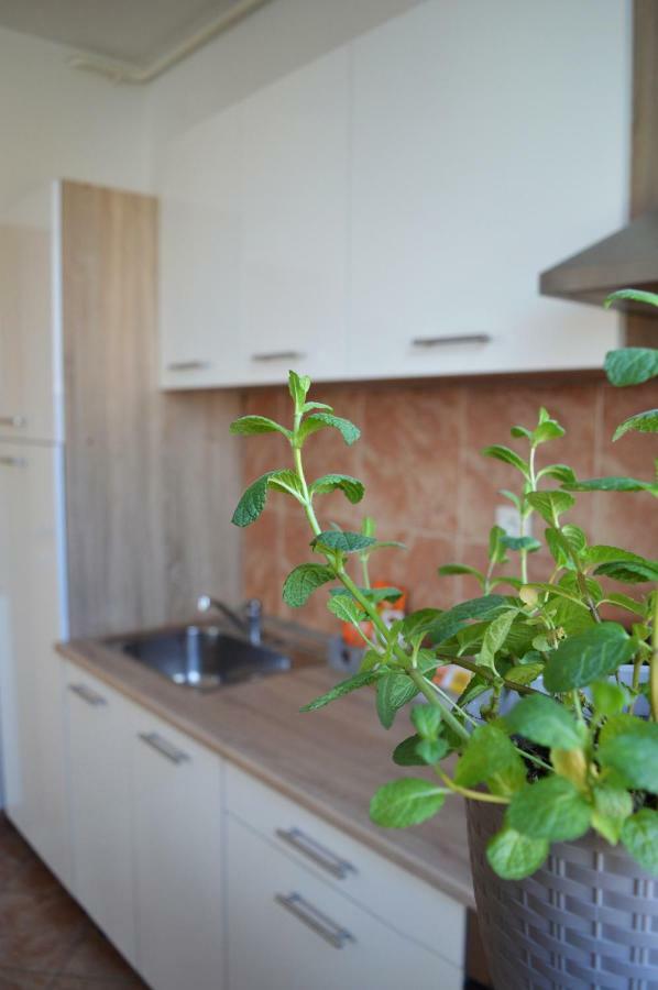 Apartment Marlena Zagabria Esterno foto